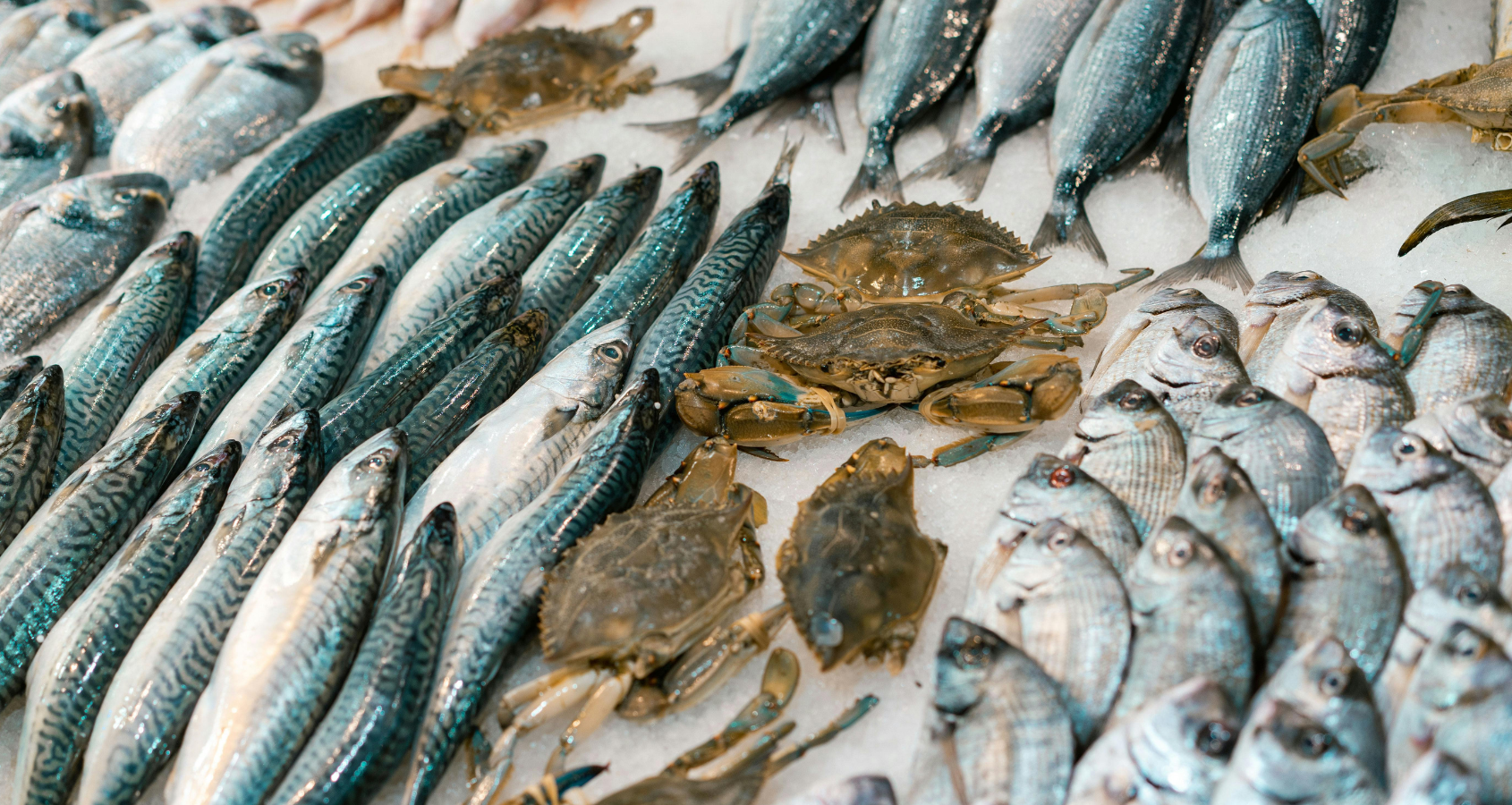 Fish vs. capsules: What is the best way to get your Omega-3 if you live in Central Europe?