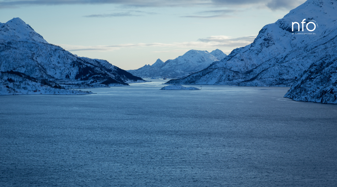 The science of quality fish oil