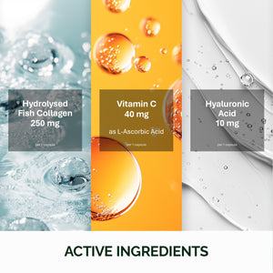 胶原蛋白与透明质酸